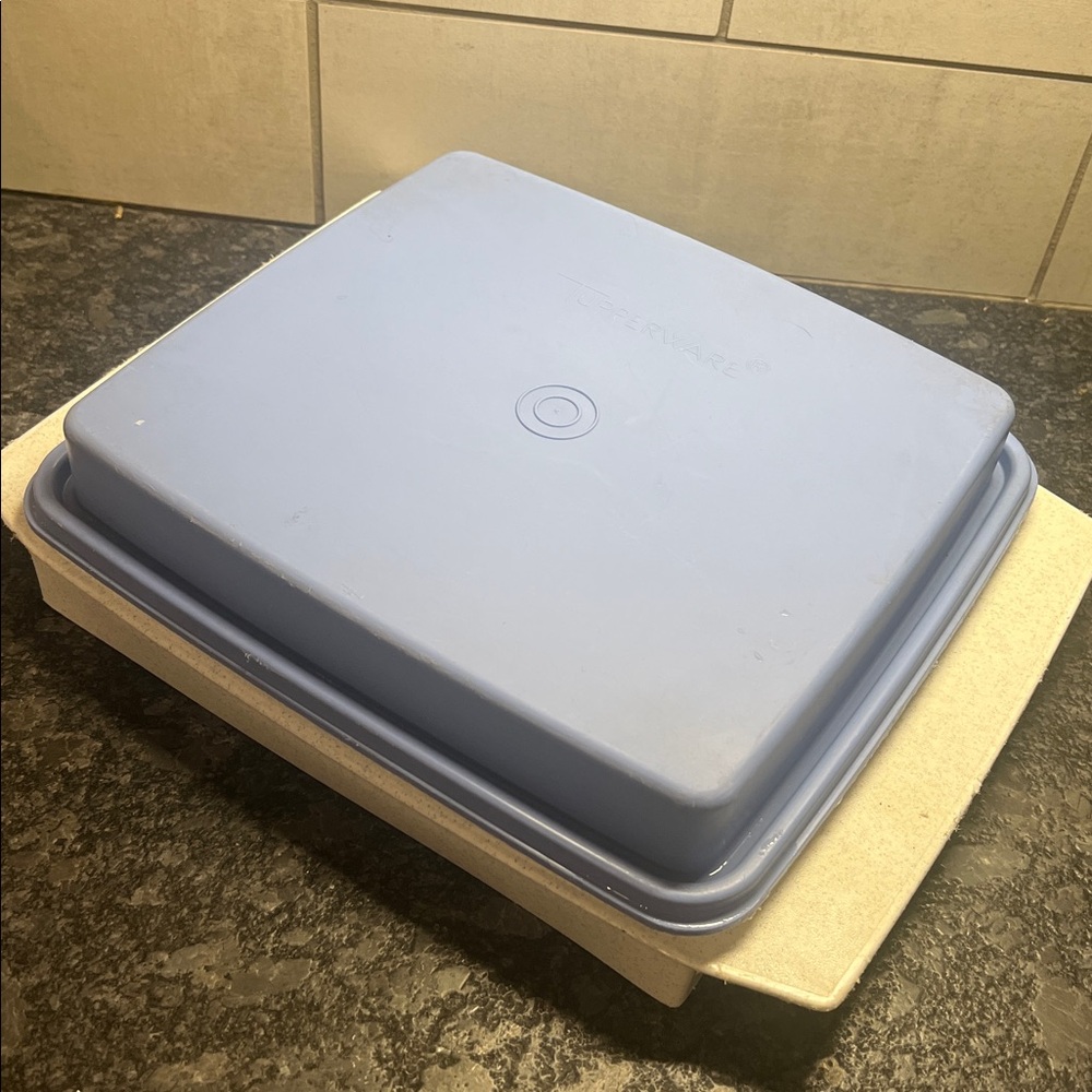 Vintage Tupperware deviled egg Blue and White Food Storage Container